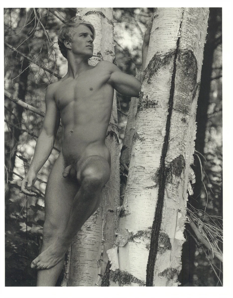 1990 Bruce Weber Nude Male Model Leaning On A Tree Art Photo Gravure | eBay
