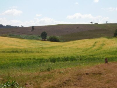 Foto 6x4 Hangered Mans Hill Polwarth feiert zweifellos einige lange vergessen c2006