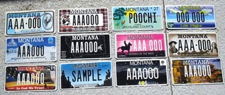 12 MONTANA SAMPLE LICENSE PLATES 2010 TYPES NR B