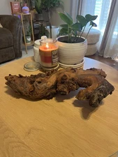 Mopani Wood For Aquarium Or Terrarium