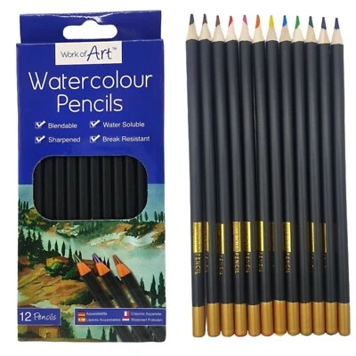 WORK OF ART 12 Watercolour Pencils Set Artist Drawing Painting Sketching Art Water Colour UK