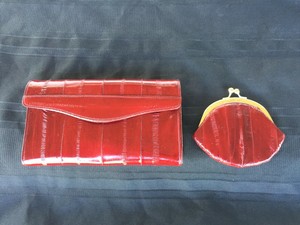 lee sands eel skin coin purse