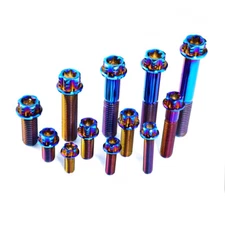 M6 M8 M10 Titanium Bolt Torx Head Flange Screw Bolts Ti Gr5 For Motorcycle Bike