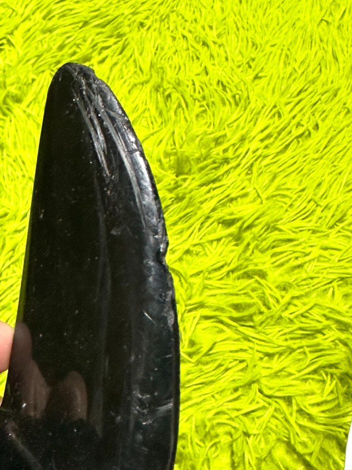 Doug Hannon Weedless Power Competition Series Trolling Motor