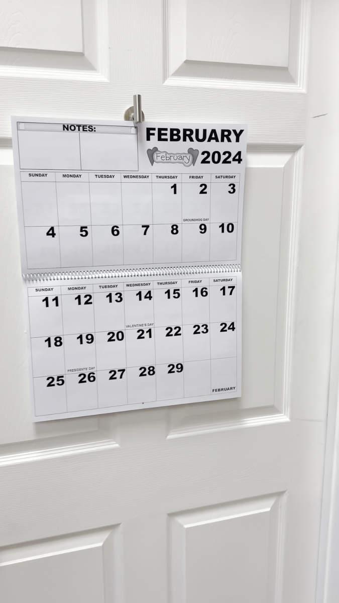 new-jumbo-size-2025-large-print-senior-calendar-by-magnifying-aids-low-vision-ebay