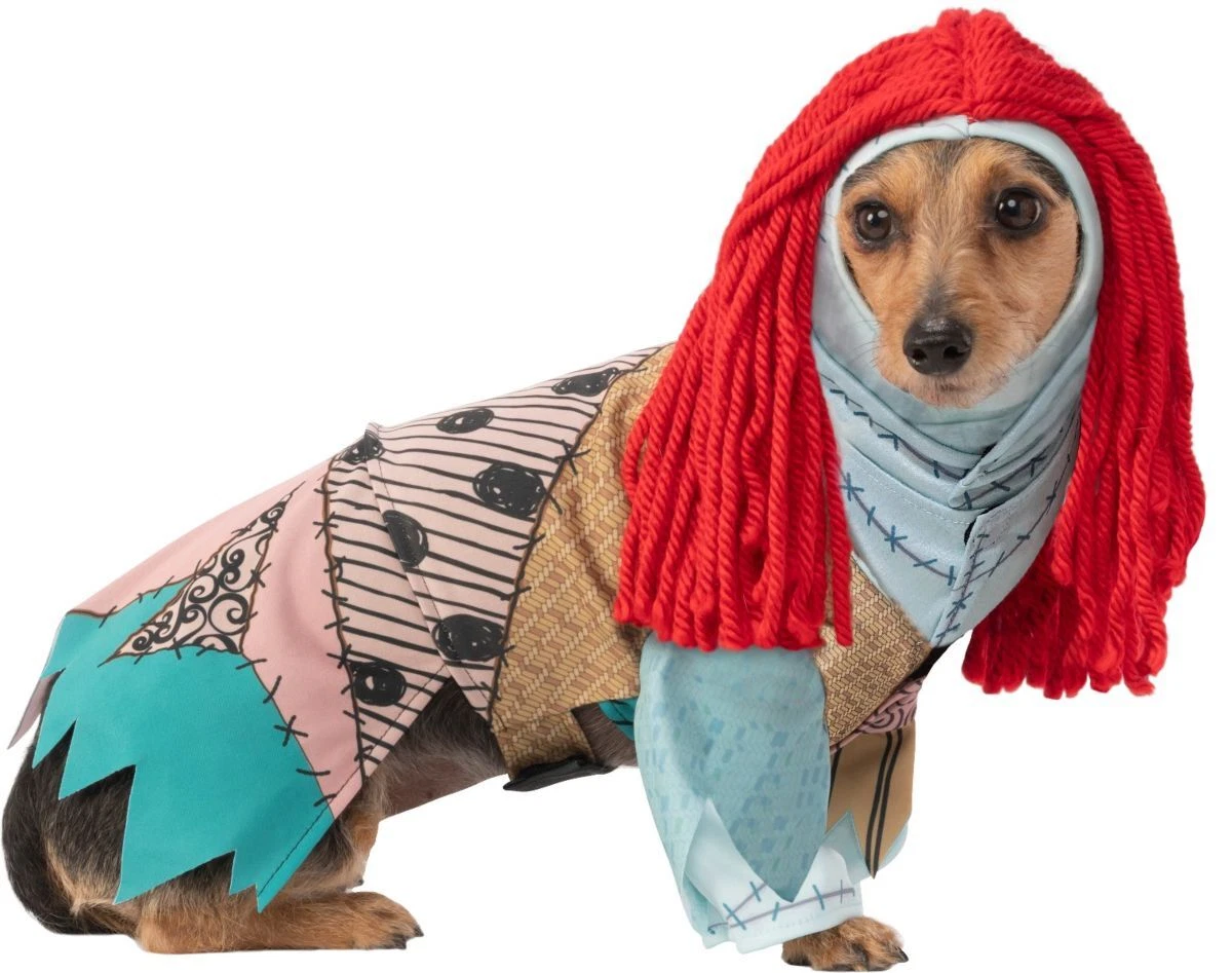 Dog 2025 dress christmas