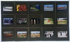Vintage 1950s-60s Glass Slides in Metal Cenei Holders Lot of 15 (16-30)