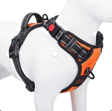 Heavy Duty Dog Harness By Phoepet Size Small In Neon Orange NEW