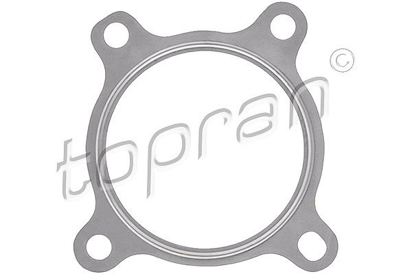 Topran Dichtung, Abgasrohr Motorseitig U.A. FüR Audi, Porsche, Seat, VW-image