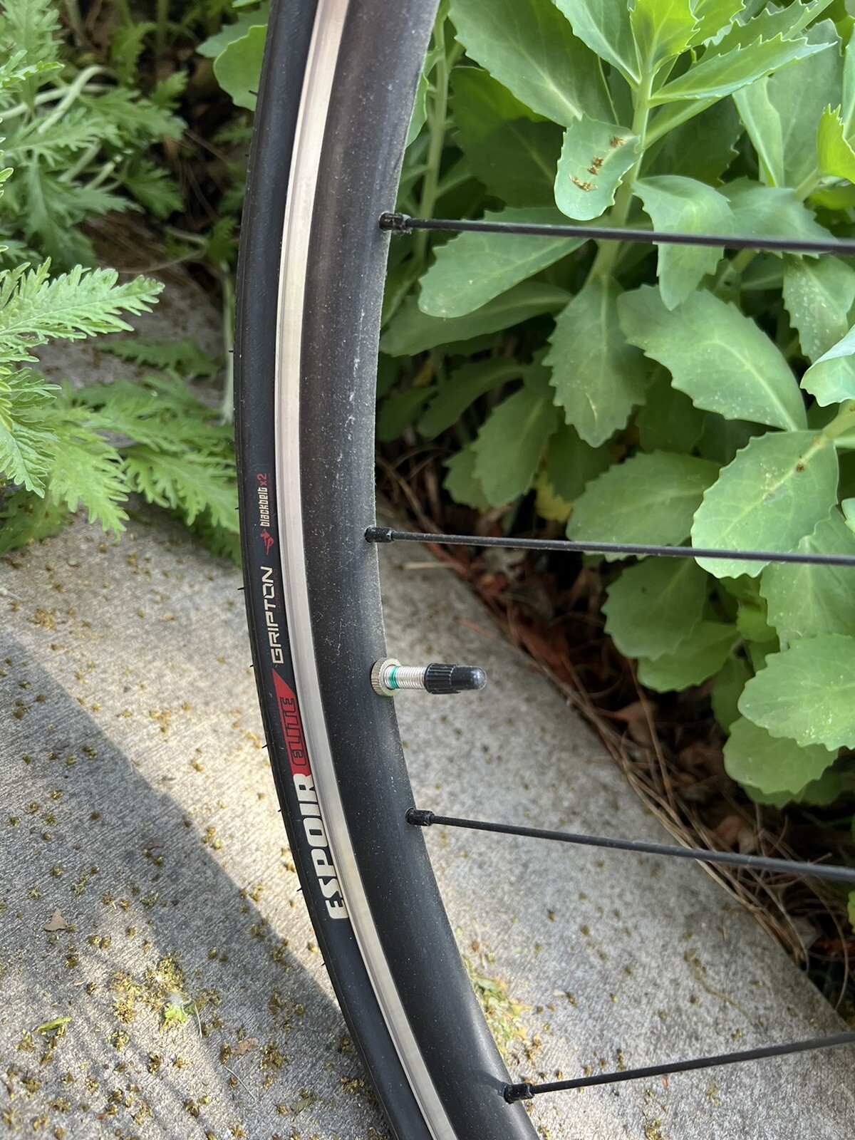 Specialized Roubiax Zertz Carbon Fiber Road Bike Size 52 eBay