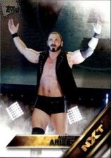 Austin Aries 2016 Topps WWE Then Now Forever NXT Prospect Card #2