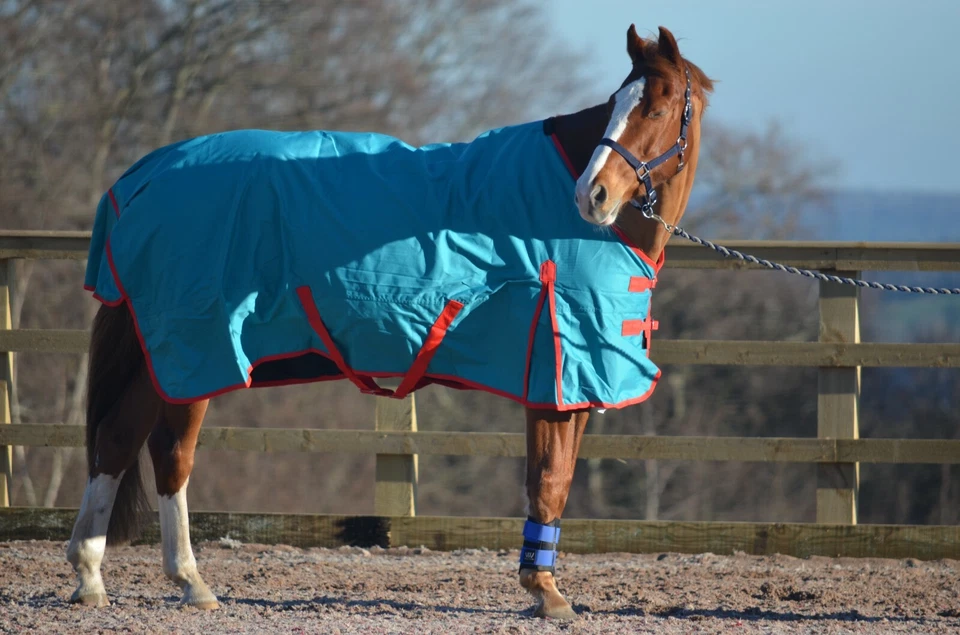 SALE! 100g leichte 600d wasserdichte atmungsaktive Pferde Pony Weidedecke Ripstop - Bild 4 von 4