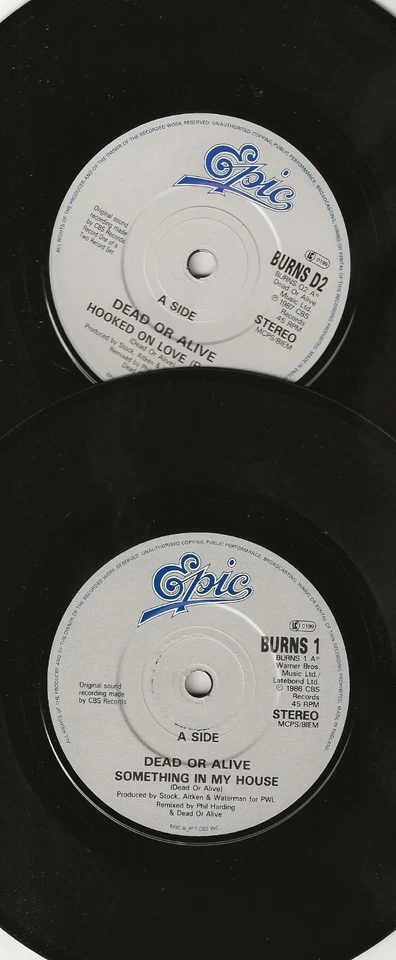 Dead or Alive – Hooked on Love (Remix) - Double-vinyl 45 - Image 3 of 4