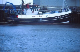 ORIGINAL PHOTOGRAPHIC SLIDE FISHING BOAT TRAWLER SHIP WK170