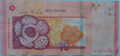 RM10 Muhammad Ibrahim sign Replacement Note (13th Series) ZD 4136101 - Picture 1 of 2