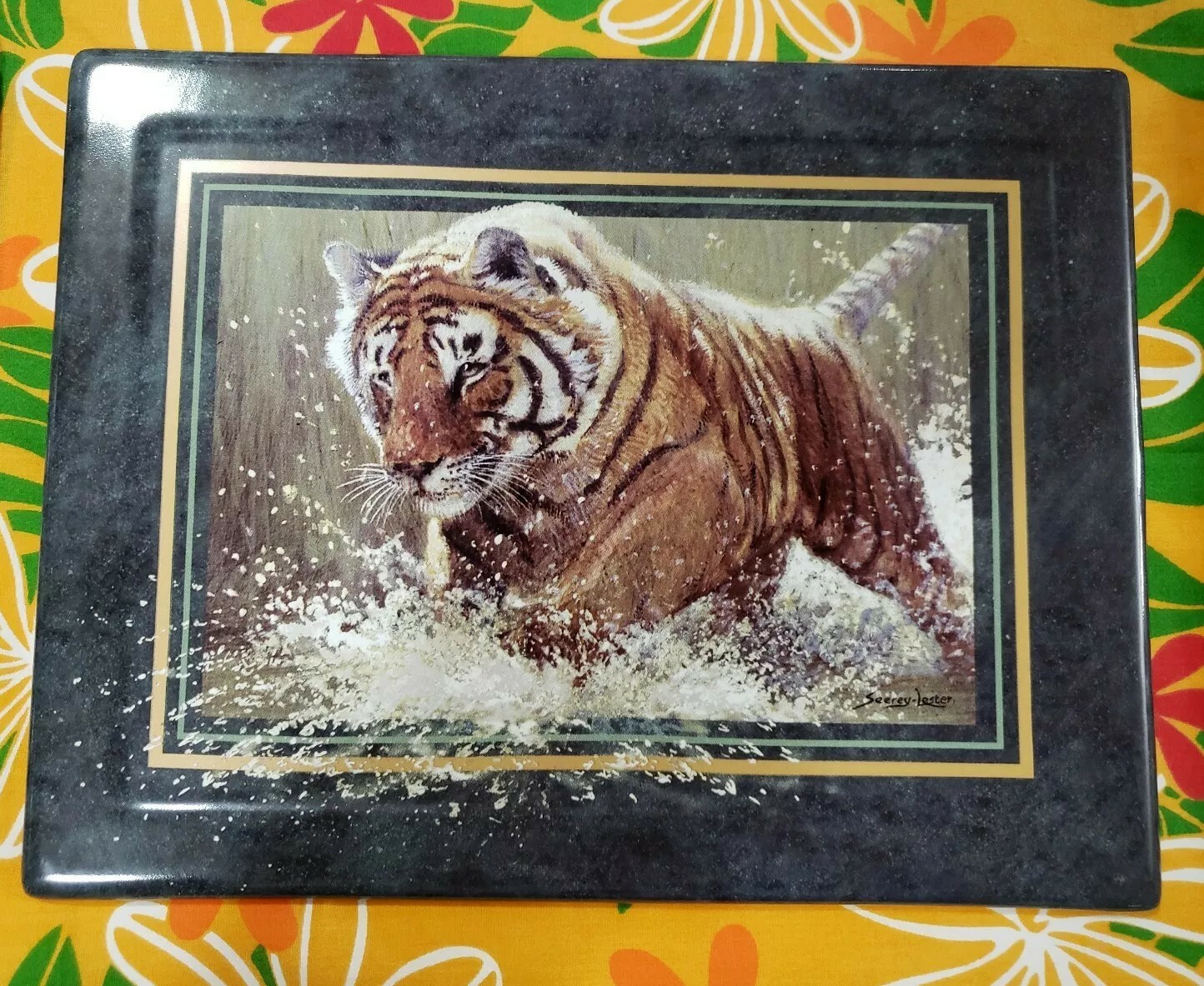 Picture 9 of 12