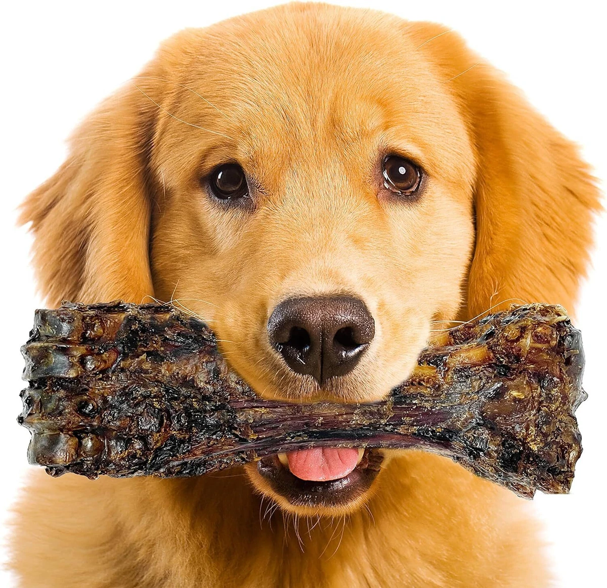 Bones for top heavy chewers