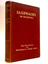 Saxifrages or Rockfoils (Walter Irving and Reginald A. Malby) (ID:28691)