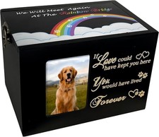 Sofunii Urne pour animaux de compagnie pour cendres, moyen solide - capacité 60 pouces cubes, noir 