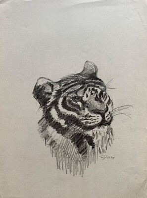 Horst Dumann Porträt Tiger Panthera tigris Großkatze Asien Zeichnung 1994