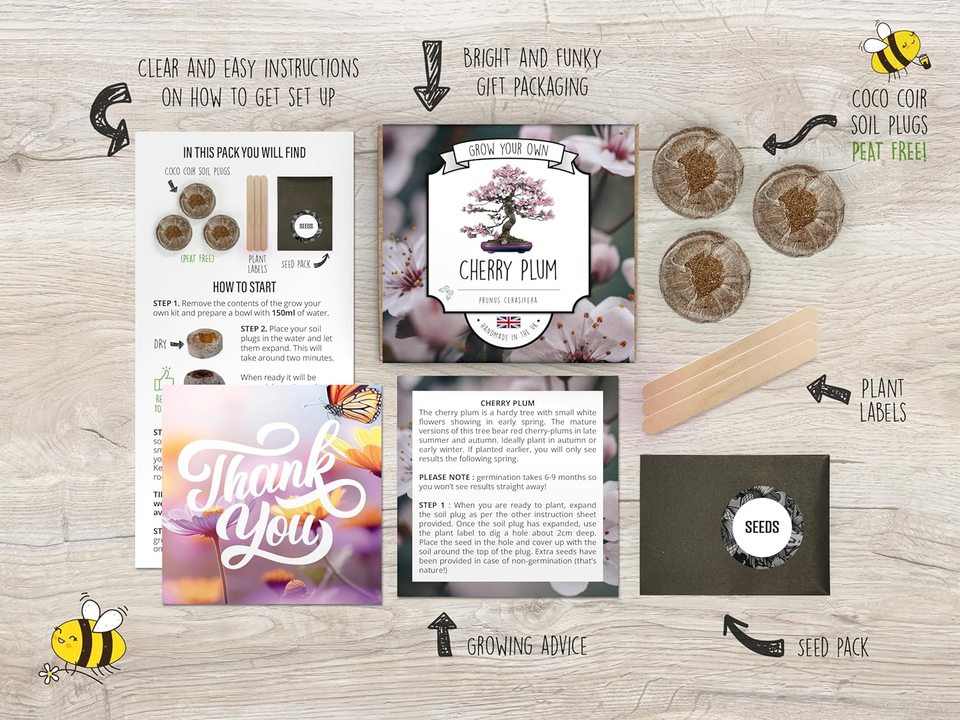 Grow Your Own Bonsai Tree Kit Cherry Plum Complete Beginner Starter