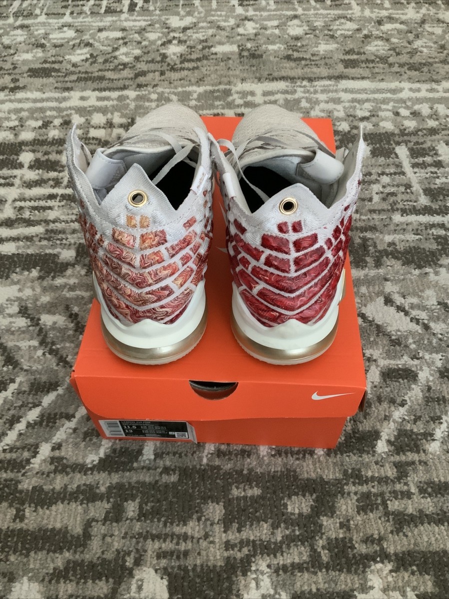 Nike LeBron XVII PRM 17 Desert Sand CT3466-001 Size 11.5 | eBay