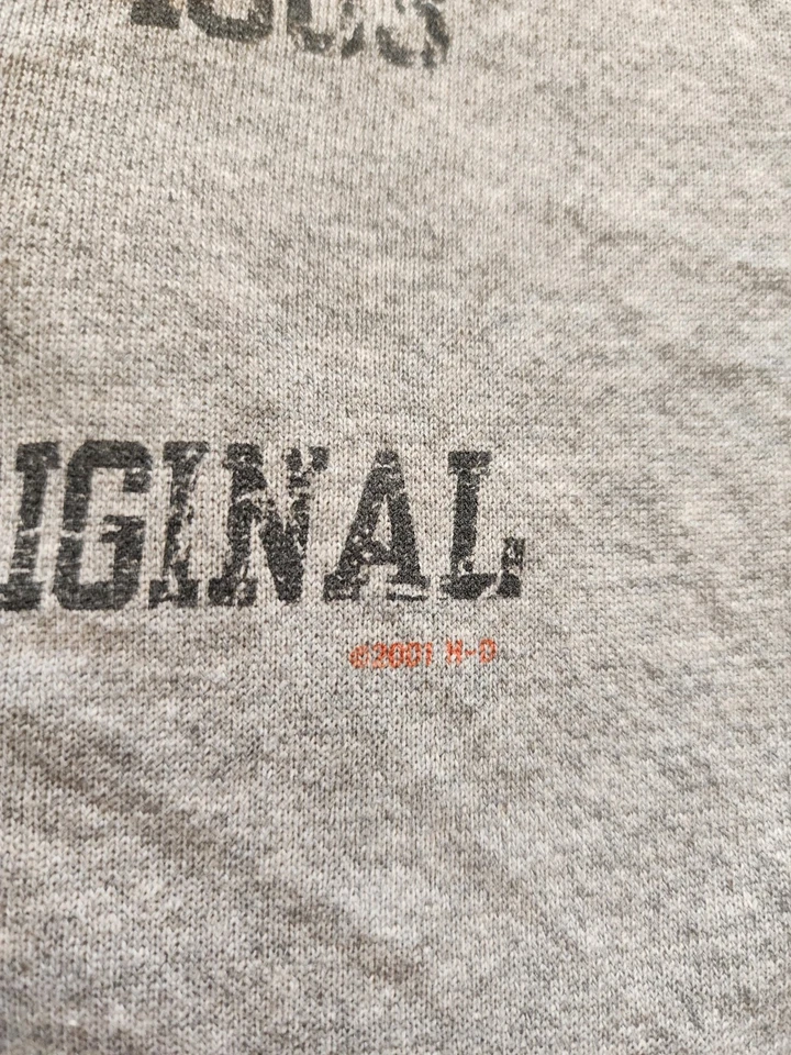 De colección 2001 Harley Davidson Motorcycles Gris 2XL Sudadera con Capucha Llamas en la Espalda Gráfico Foto 4 de 4