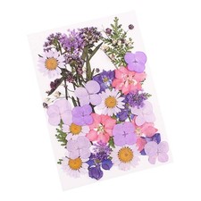 Real Dried Pressed Flowers, Nature Dried Flowers Assorted Colorful Daisies fo...
