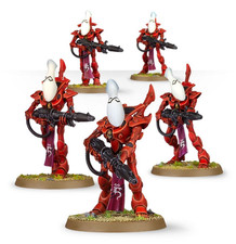 W40K Aeldari Phantomwächter (Gußrahmen)