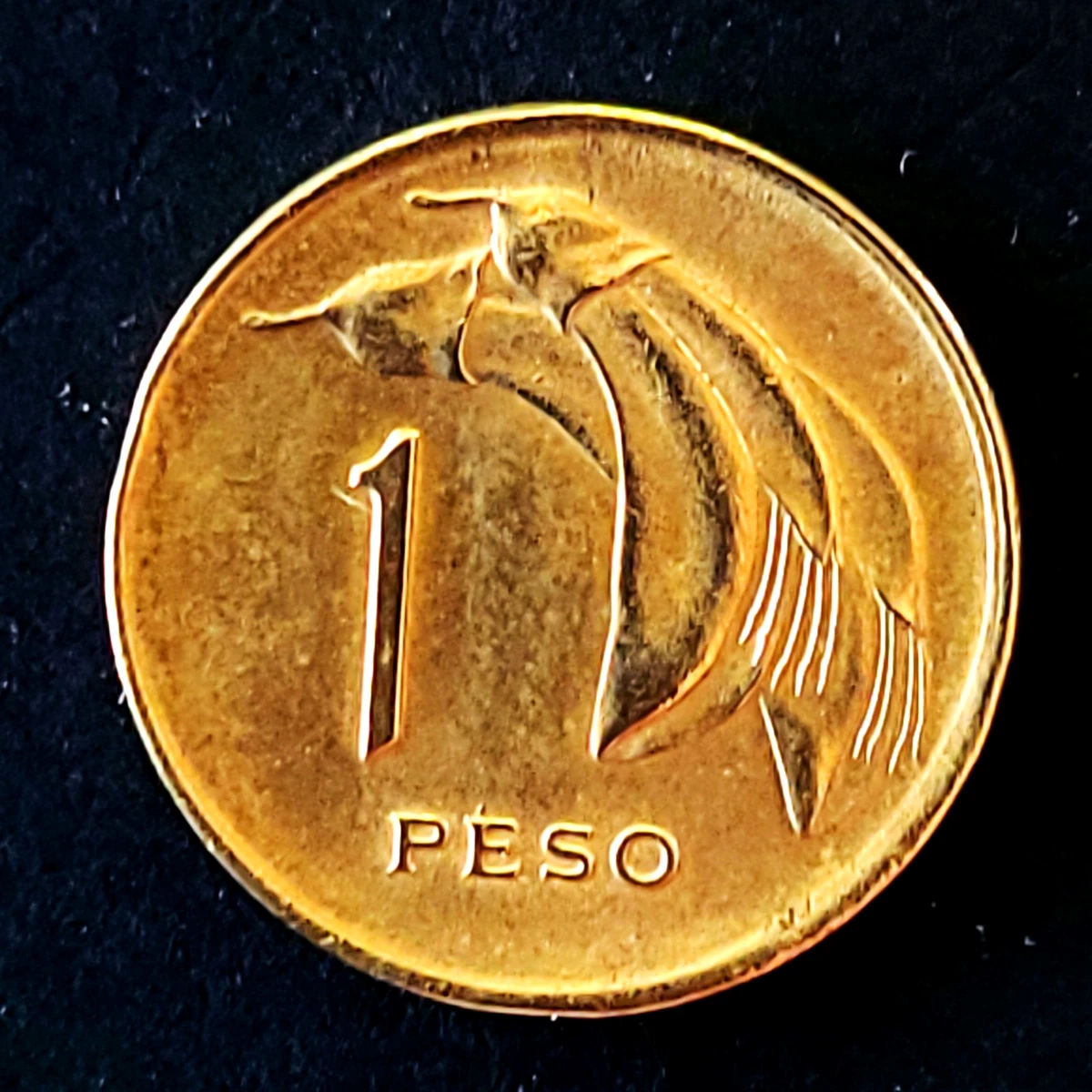 1969 Uruguayan Coins for sale | eBay