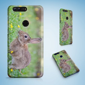 See the source image