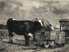 Abbeveratoio Incisione Acqua Forte Troyon Costante Waltner Mucche XIX