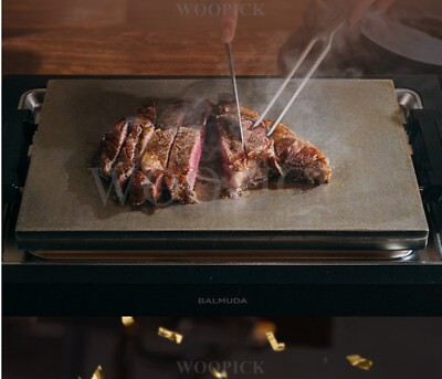 BALMUDA 2024 The Plate Pro Stainless Steel Hot Plate K10A-BK 220V