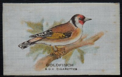 GOLDFINCH Vögel 1921 B D V Zigarette Seide RAR