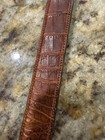 Belt Without Buckle, No Holes , Maybe Exotic Skin? Unmarked, Probably 34 Size — photo 3
