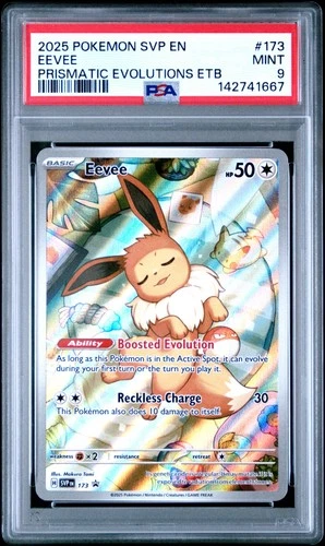 2025 POKEMON SVP EN-SV BLACK STAR PROMO #173 EEVEE PSA 9