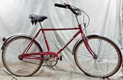 1991 Ross Diamond Trimatic Hybrid Cruiser Bike 19
