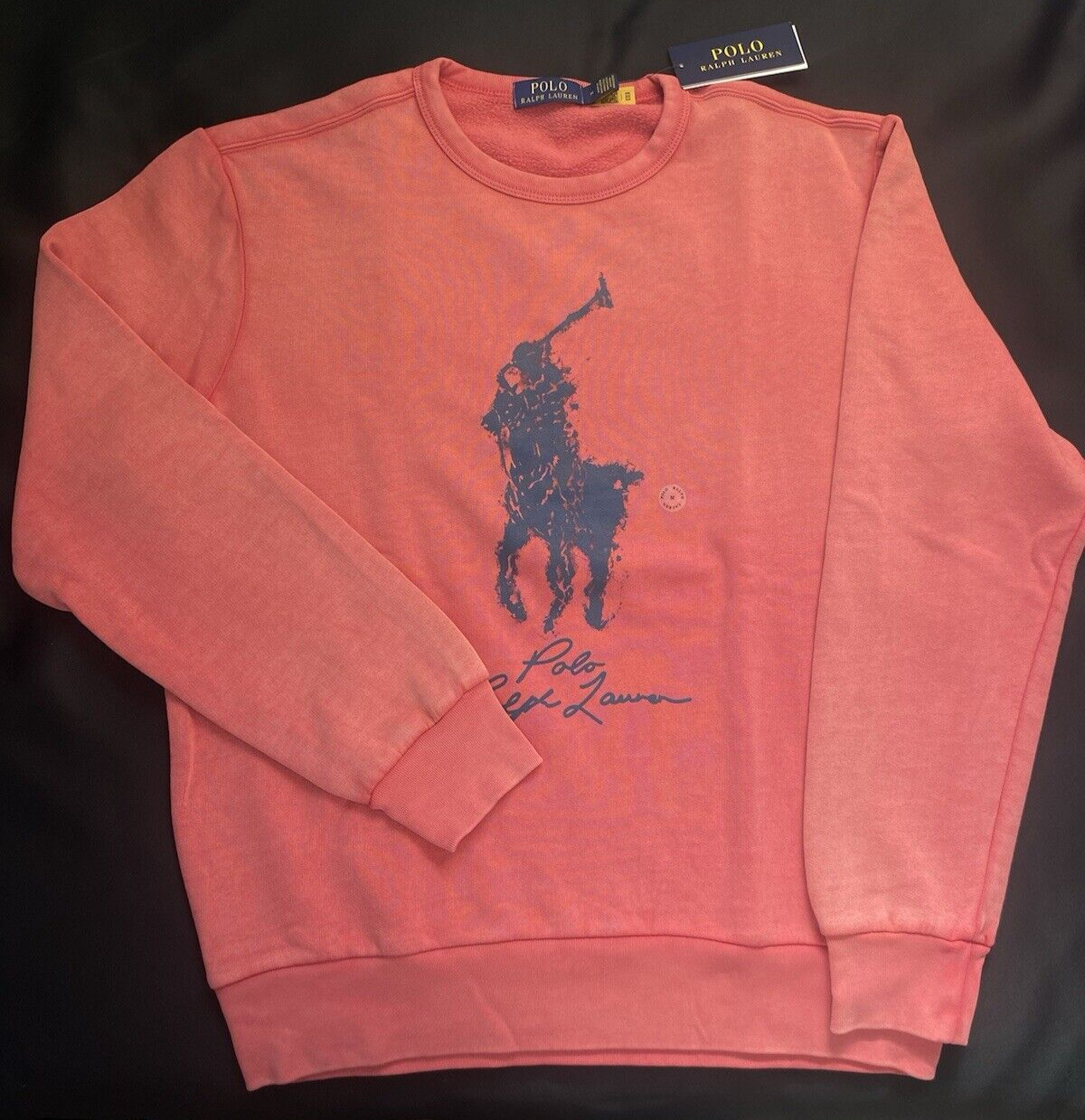 Polo Raulph Lauren Uomo Big Pony Felpa in Pile Tinta in Capo