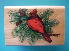 Cardinal Bird on Pine Branch INKADINKADO Rubber Stamp