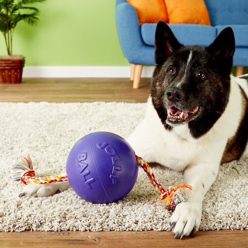 Jolly Pets Romp-n-Roll 6 inch Purple Rubber Ball with Rope for Dogs - Picture 7 of 7
