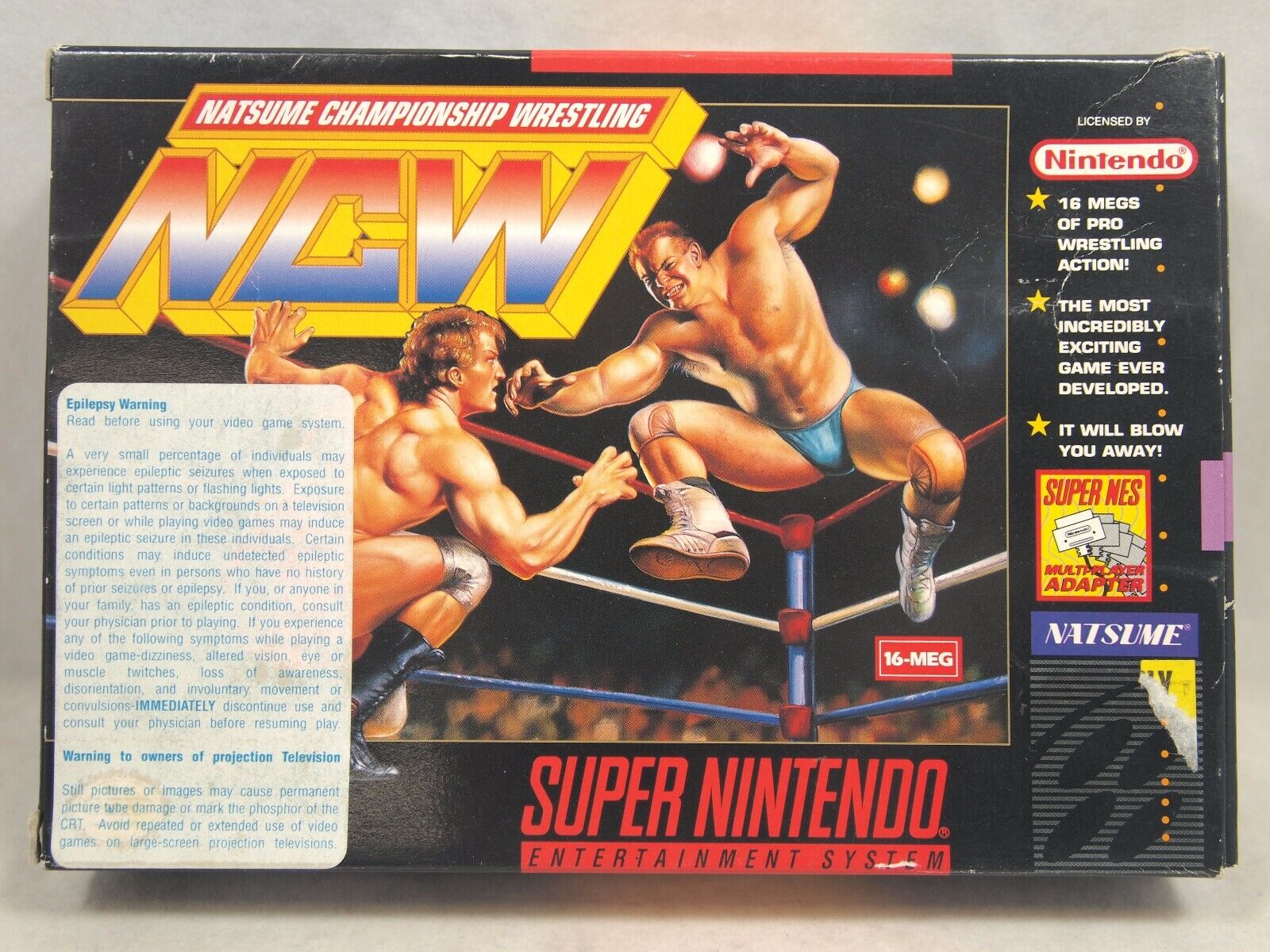 Natsume Championship Wrestling™, Super Nintendo, Jogos