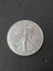 2023 American Silver Eagle