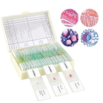 30 Microscope Slides with Specimens for Kids, Prepared Microscope Slides for Kid