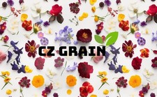 Czerwone żarówki kaladu Flash, fantazyjna mieszanka, łatwa w uprawie, kolorowa mieszanka, wieloletnia Hosta