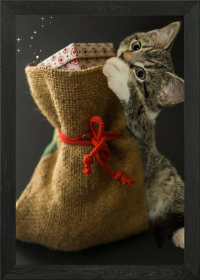 Gerahmtes Wandbild Poster Leinwanddruck Bild Katze Katzen Katze