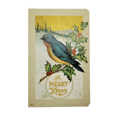 A Merry Xmas 1911 Postcard Blue Bird Holly Branch Berries Forest Snow Scene Used