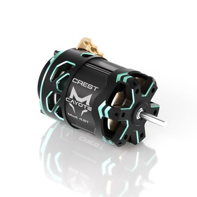 CAYOTE für 1/10 CREST Modified 8.5T Sensored Brushless Motor / CYEB11016
