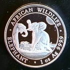 2024 Elephant African Wildlife Somali Mint Rare Bullion-0.999 Silver  1 Oz Coin