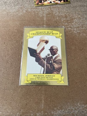 1991 AAMER Sport (unlicensed) #NNO Michael Jordan Gold #/10000