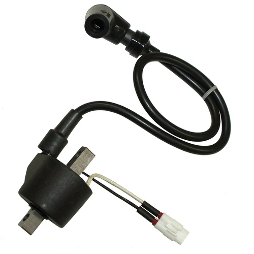 COIL ASSY, IGNITION